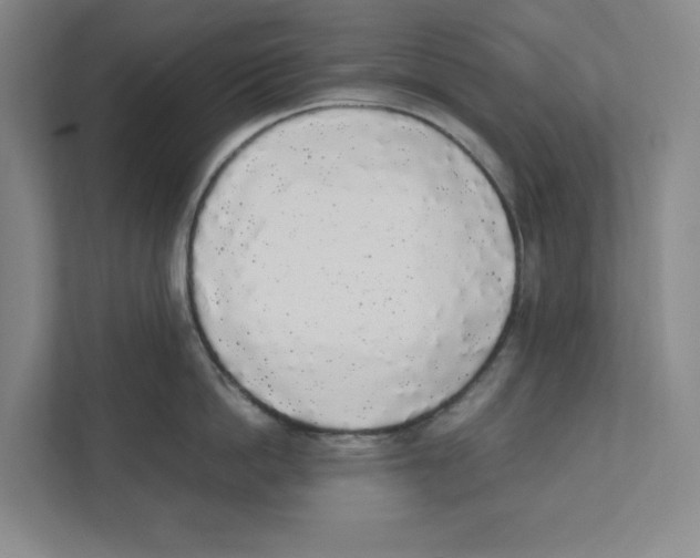 X0000111450862200908101033