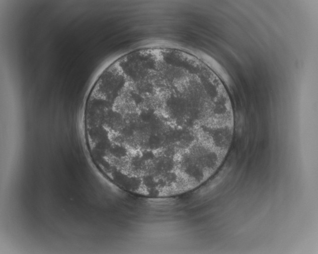 X0000111450863200908101033