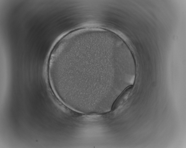X0000111450864200908101033