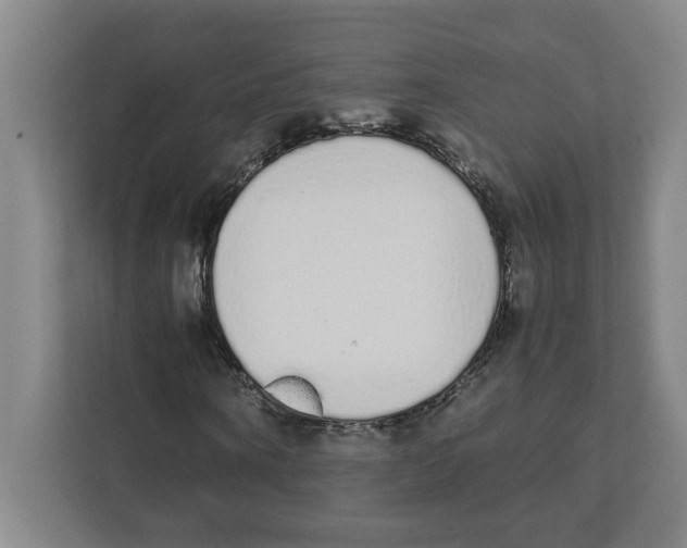 X0000111450866200908101032