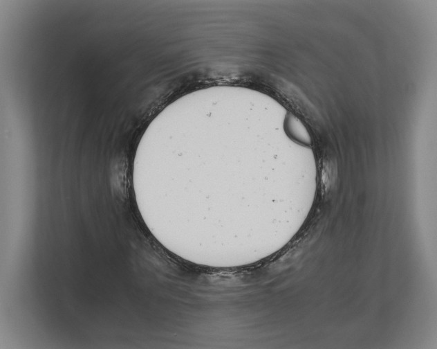 X0000111450867200908101032