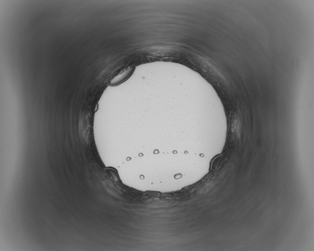 X0000111450868200908101032