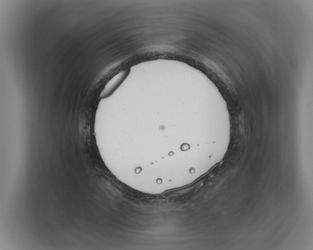 X0000111450872200908101032
