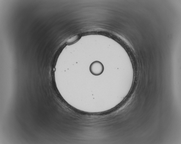 X0000111450873200908101032