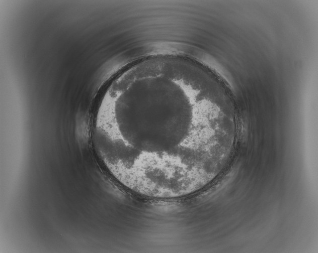 X0000111450874200908101032