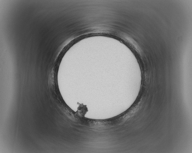 X0000111450875200908101032