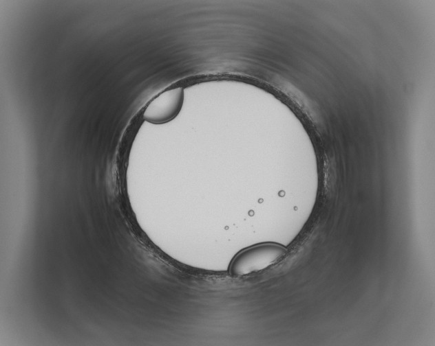 X0000111450876200908101032