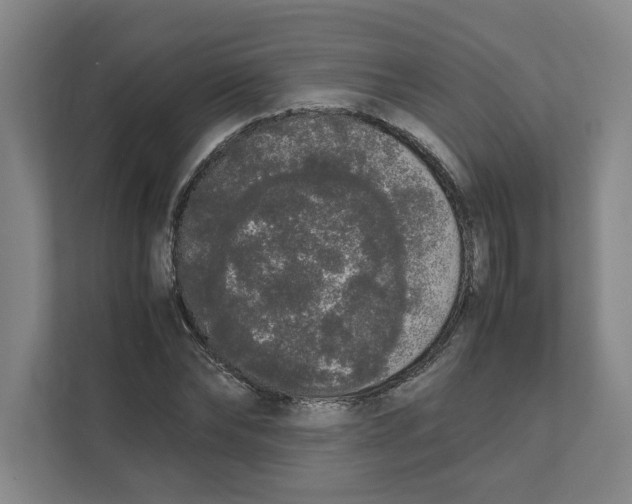 X0000111450878200908101032