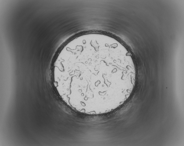 X0000111450879200908101032