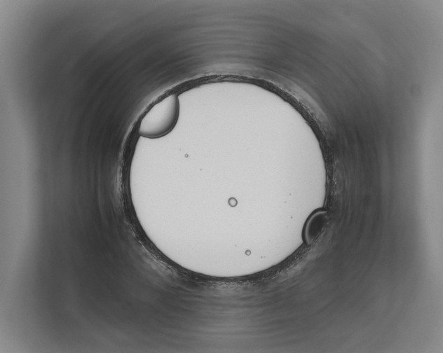 X0000111450880200908101032