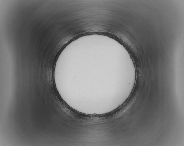 X0000111450881200908101032
