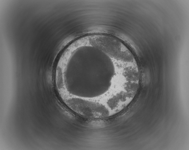 X0000111450882200908101032