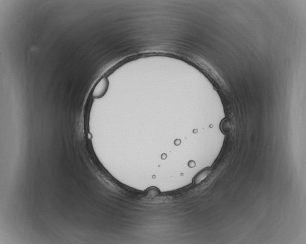X0000111450884200908101032