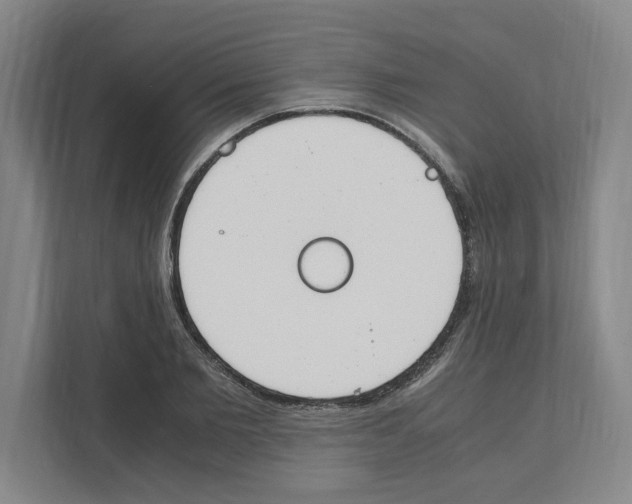 X0000111450885200908101032
