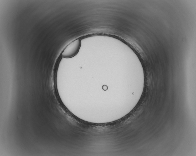 X0000111450888200908101032