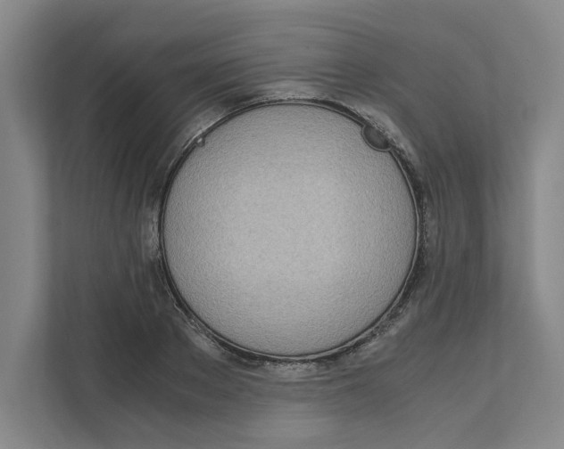 X0000111450889200908101032