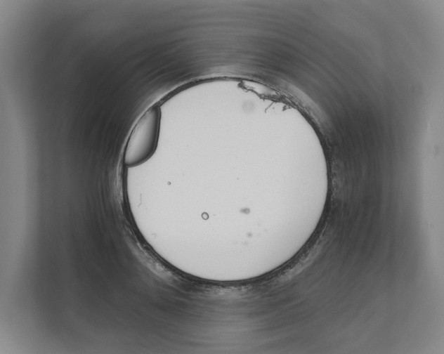X0000111450892200908101032