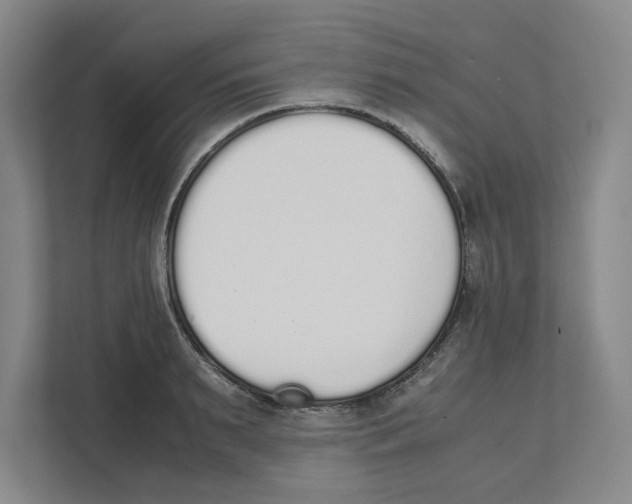 X0000111450895200908101032