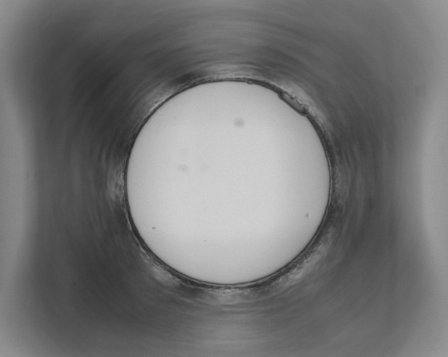 X0000111450897200908101032