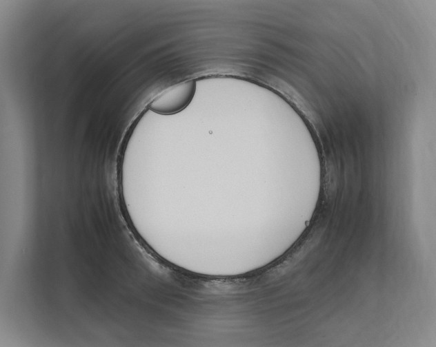X0000111450898200908101032