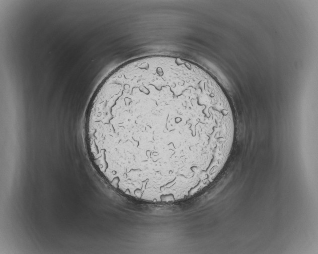 X0000111450899200908101032