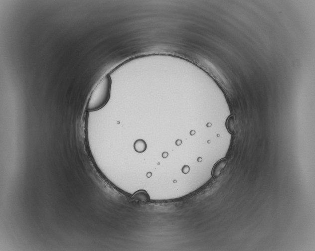 X0000111450900200908101032