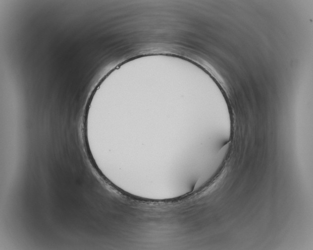 X0000111450901200908101032