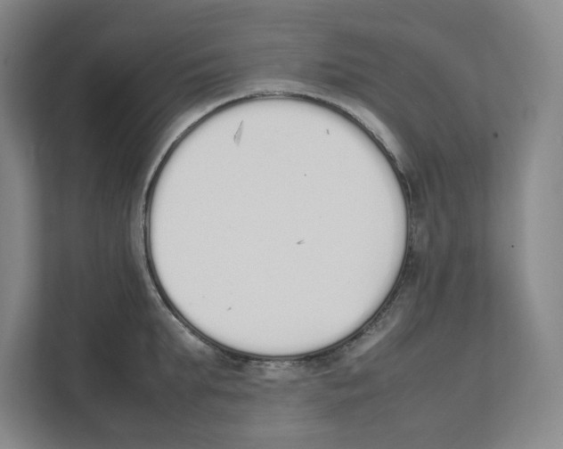 X0000111450903200908101032