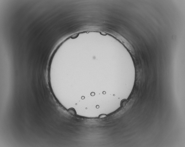 X0000111450904200908101032