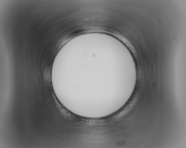 X0000111450905200908101032