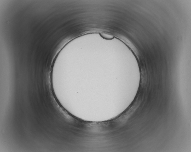 X0000111450906200908101032
