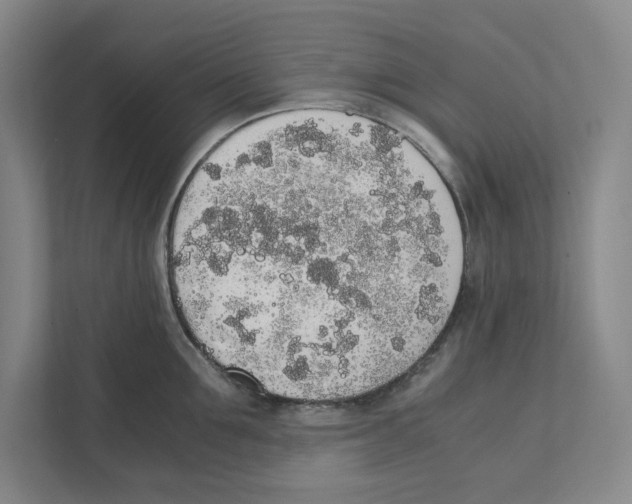 X0000111450907200908101032