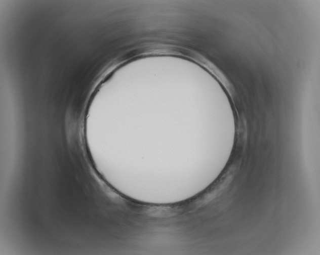 X0000111450909200908101032