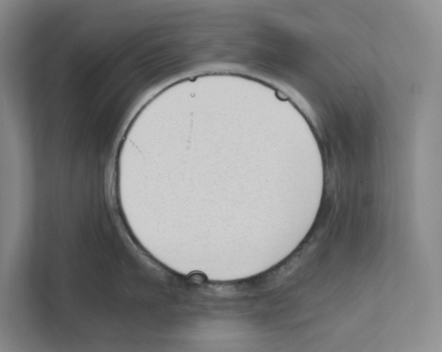 X0000111450911200908101032