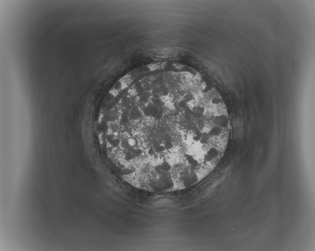 X0000111450913200908101031