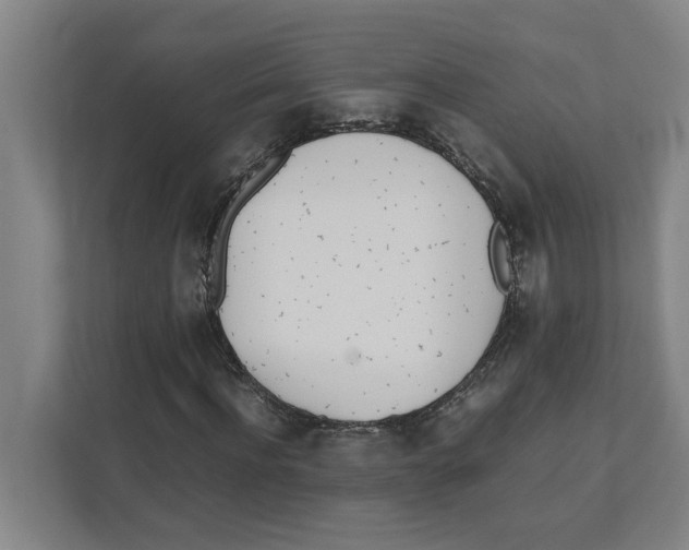 X0000111450916200908101031