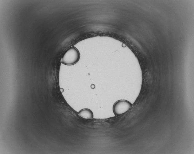 X0000111450918200908101031