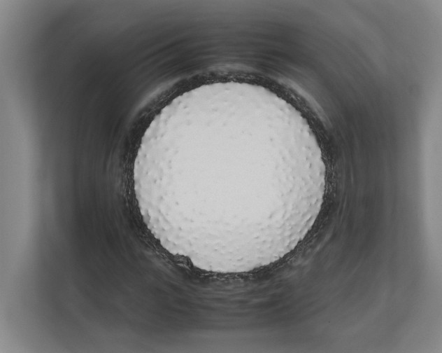 X0000111450919200908101031