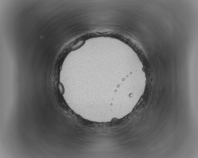 X0000111450920200908101031