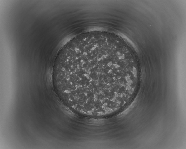X0000111450921200908101031