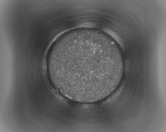 X0000111450923200908101031