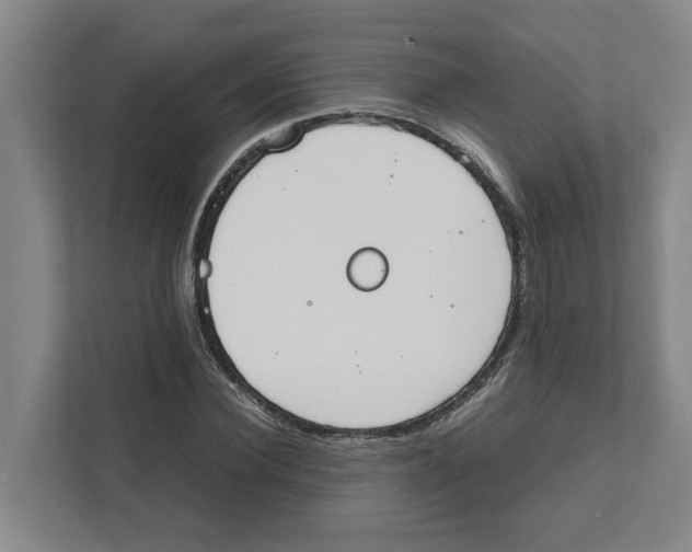 X0000111450924200908101031