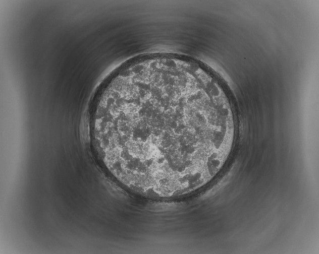 X0000111450925200908101031