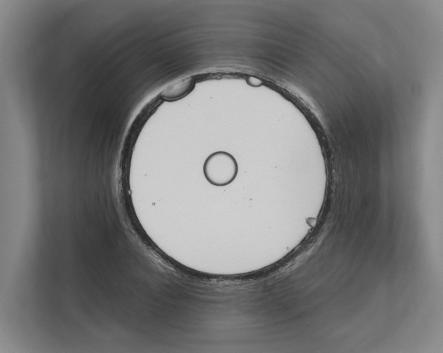 X0000111450928200908101031