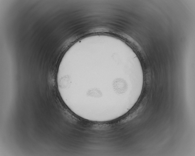 X0000111450929200908101031