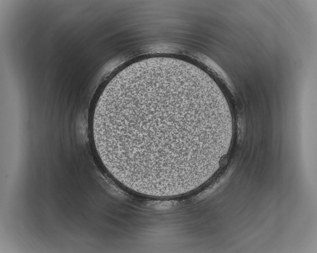 X0000111450930200908101031