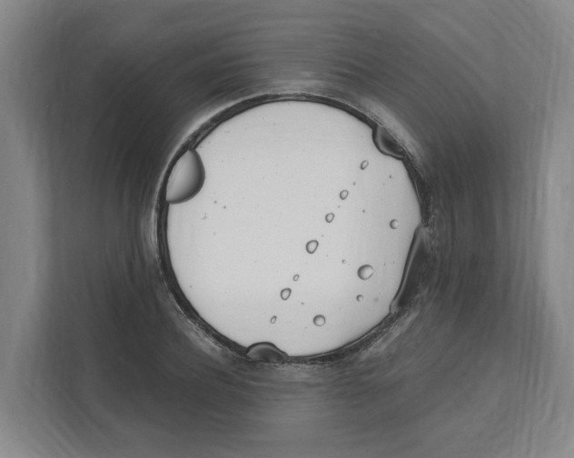 X0000111450932200908101031