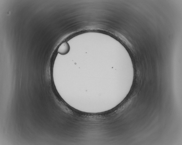 X0000111450934200908101032