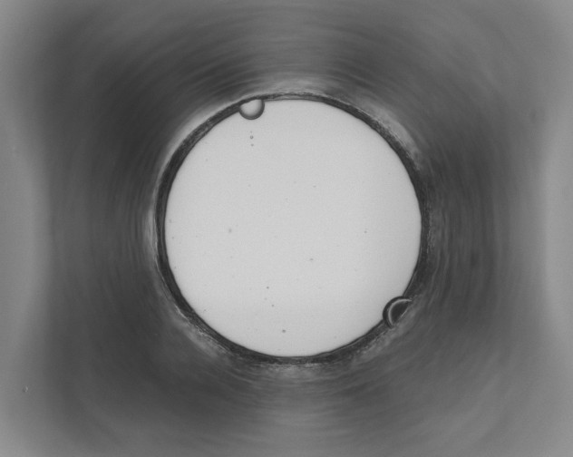 X0000111450936200908101032