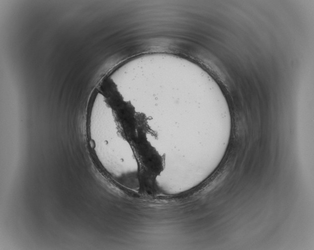 X0000111450938200908101032